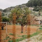 Photo by Hanna on Unsplash